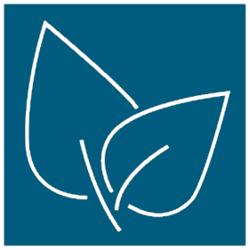 Filtru carbon